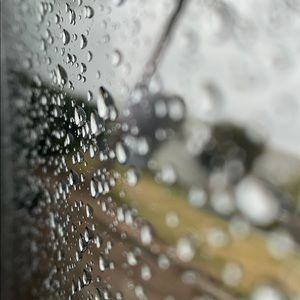 Meet your Posher, Dee